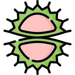 Carnivorous plant icon