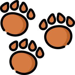 Footprint icon