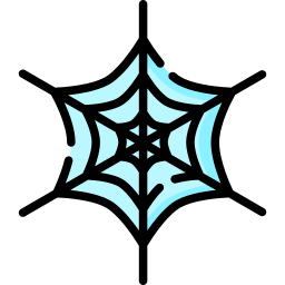 Spider web icon