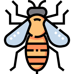 Insect icon