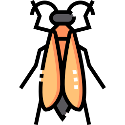 zikade icon