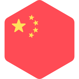 中国 icon