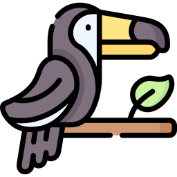 Toucan icon