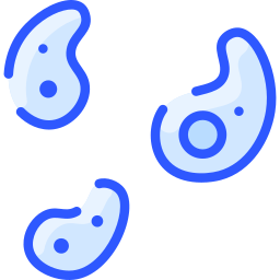 Amoeba icon