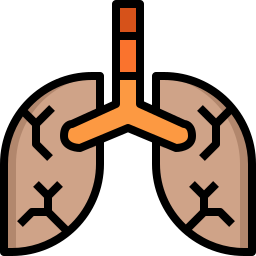 Lungs icon