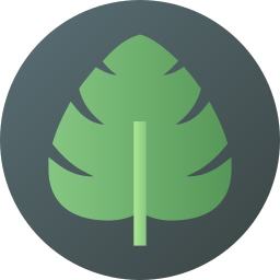 monstera icon