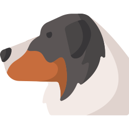 Australian shepherd icon