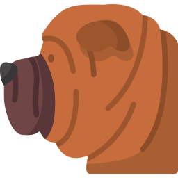 Shar pei icon