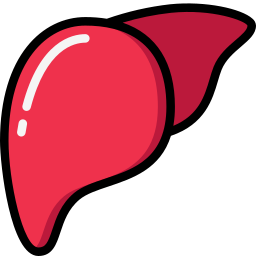 Liver icon