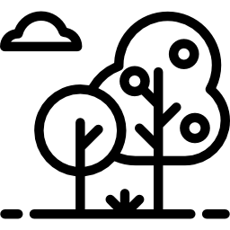 Fruit tree icon