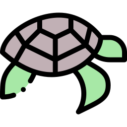 Turtle icon