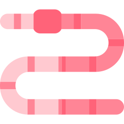 Worm icon