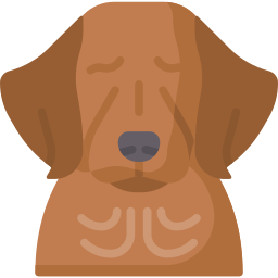 Golden retriever icon