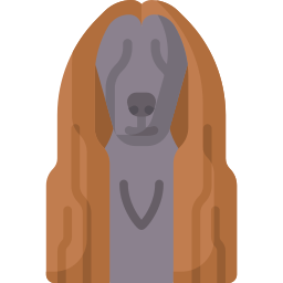 Afghan hound icon