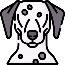 Dalmatian icon