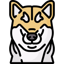 shiba inu icon