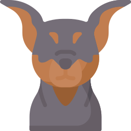 Pinscher icon