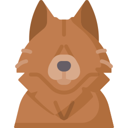 Finnish spitz icon