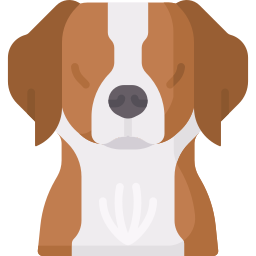 Brittany dog icon