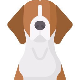 American foxhound icon