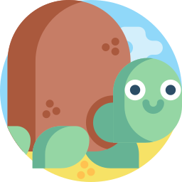 schildkröte icon