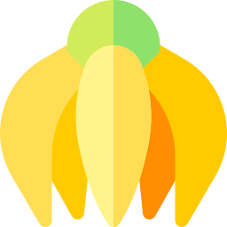 ylang-ylang icon