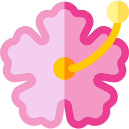 hibiskus icon