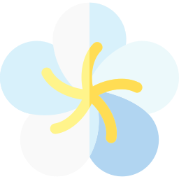 plumeria icon