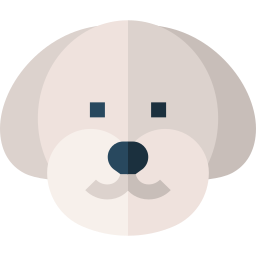 Bichon frise icon