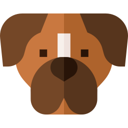 Boxer icon