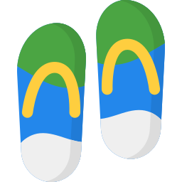 Flip flops icon