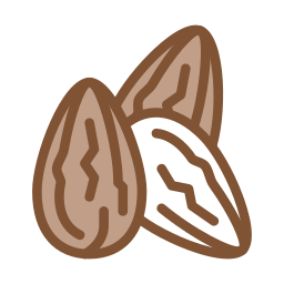 Almond icon