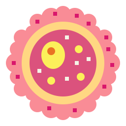 ovule Icône