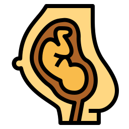 Pregnant icon