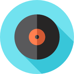 vinyl icon