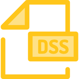 dss icon