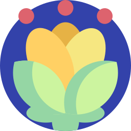 lotus icon