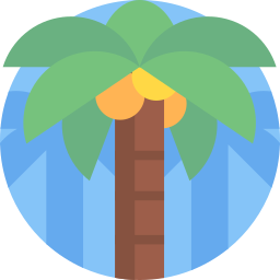 kokosnussbaum icon