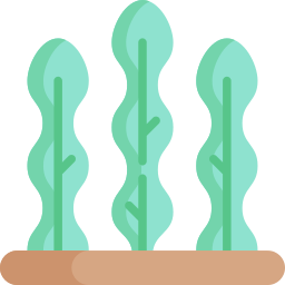 Seaweed icon