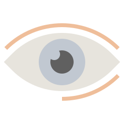 Eye icon