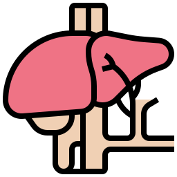 Liver organ icon