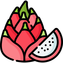 Dragon fruit icon