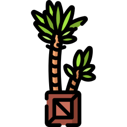 Yucca icon