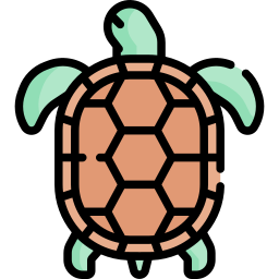 schildkröte icon