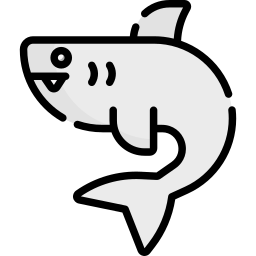 Shark icon