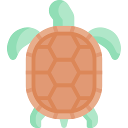 schildkröte icon