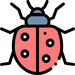 Ladybug icon