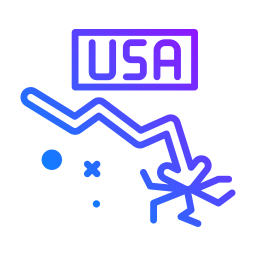 Usa icon