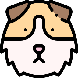 meerschweinchen icon