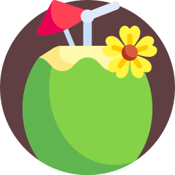 Coconut drink icon